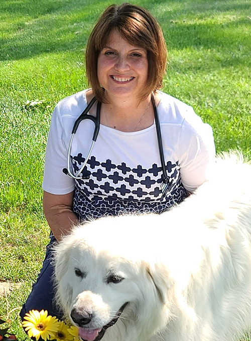 veterinarian with dog