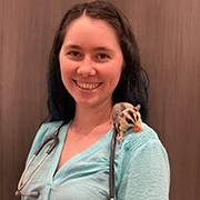 veterinarian with sugar glider