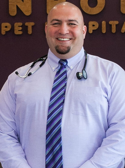 A man wearing a tie and stethoscope smiling and posing for the camera