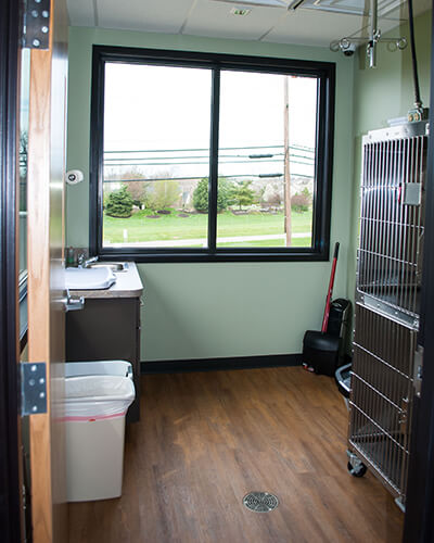 A small, naturally lit room with a kennel in it