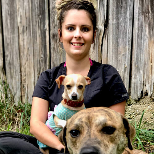 A smiling woman holding a small dog with a larger dog in the foreground