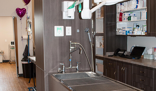 A treatment area with sinks and medical supplies